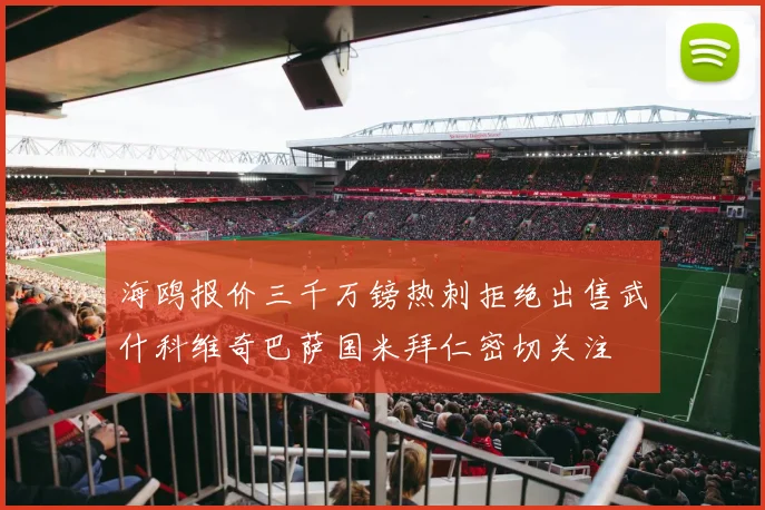 海鸥报价三千万镑热刺拒绝出售武什科维奇巴萨国米拜仁密切关注
