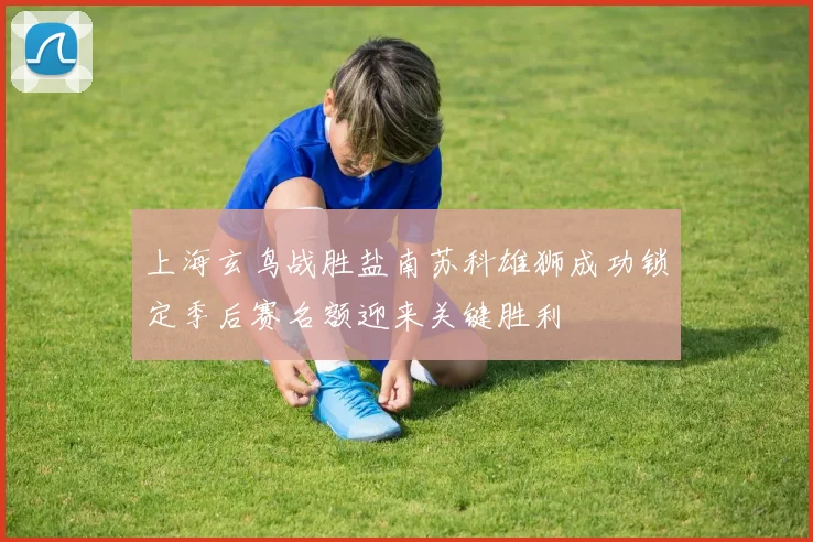 上海玄鸟战胜盐南苏科雄狮成功锁定季后赛名额迎来关键胜利